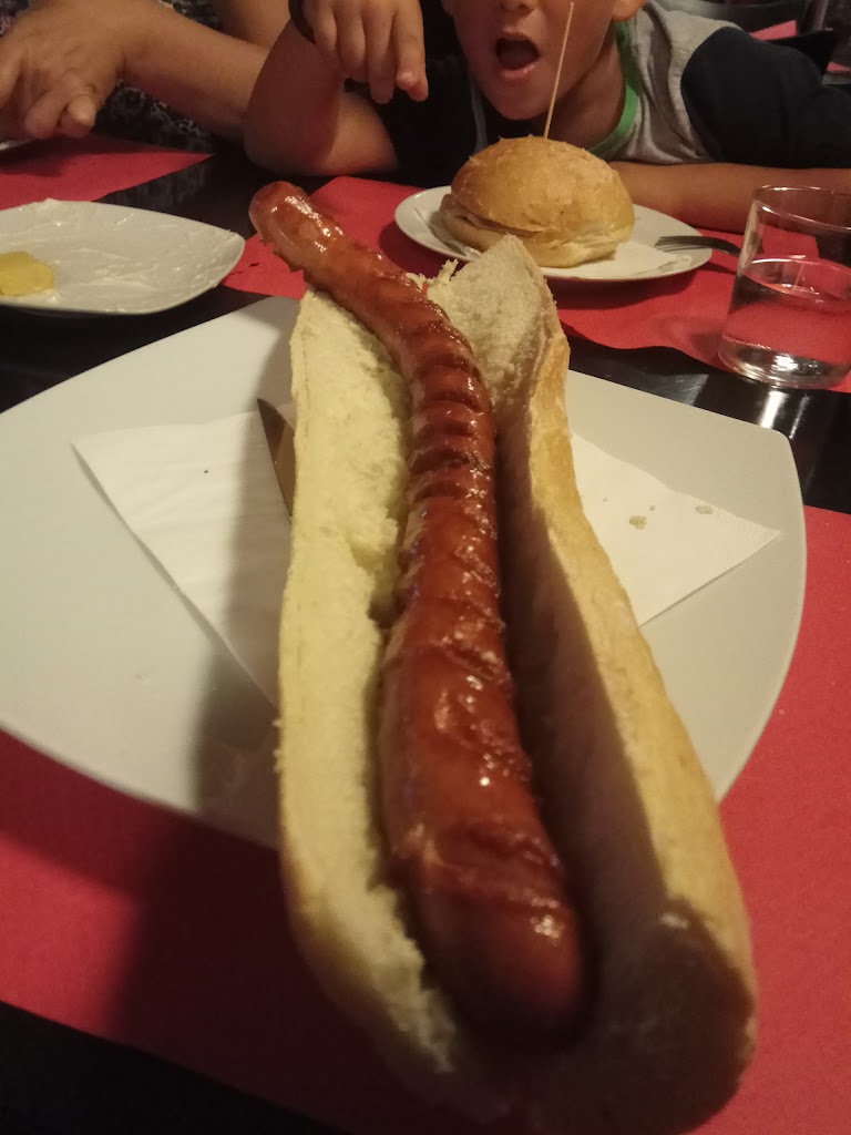 Frankfurt Stuttgart 21 — Hot dog