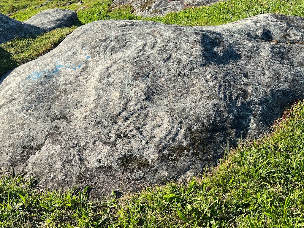 Petroglifos dos Ballotes