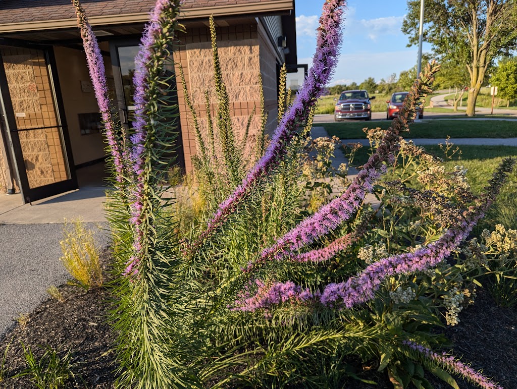 Ottawa Metro Park Campground