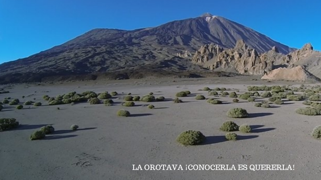 Ayuntamiento de la Orotava