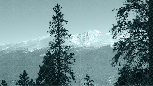 Tree Ring Digital