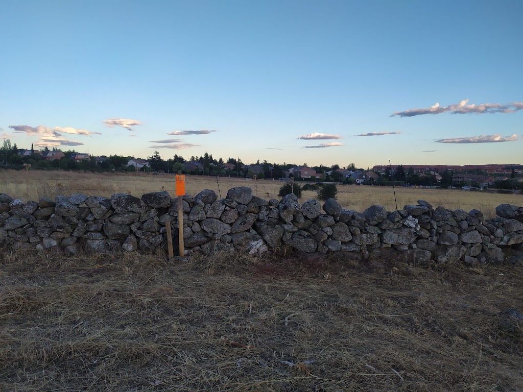 Plantacion ARBA Colmenar camino de Santiago