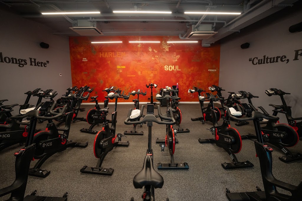  HARLEM CYCLE