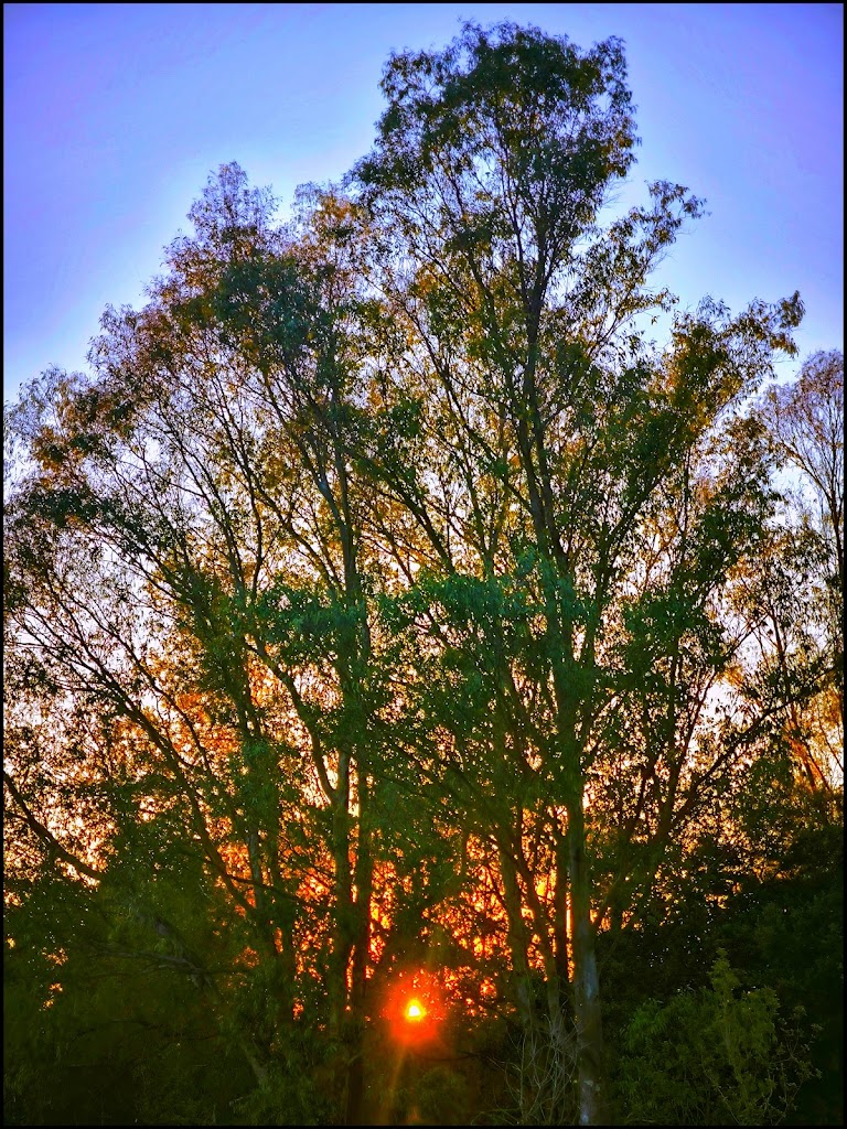 Parquing clients Coqui Parc