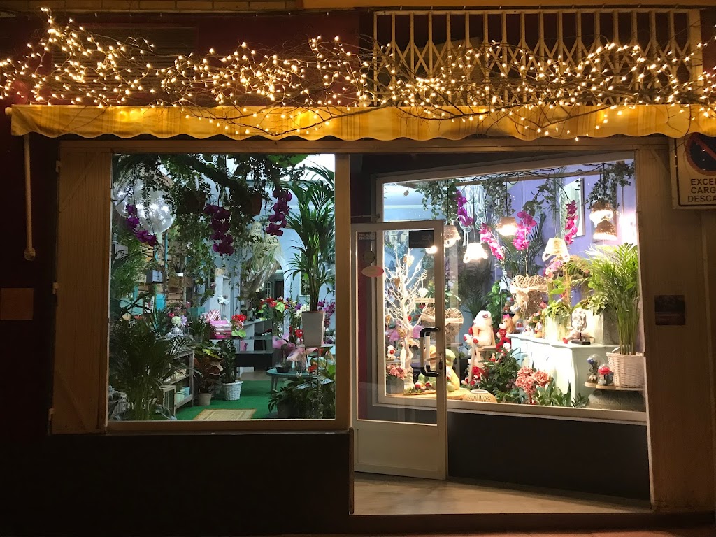 Floristeria Patricia