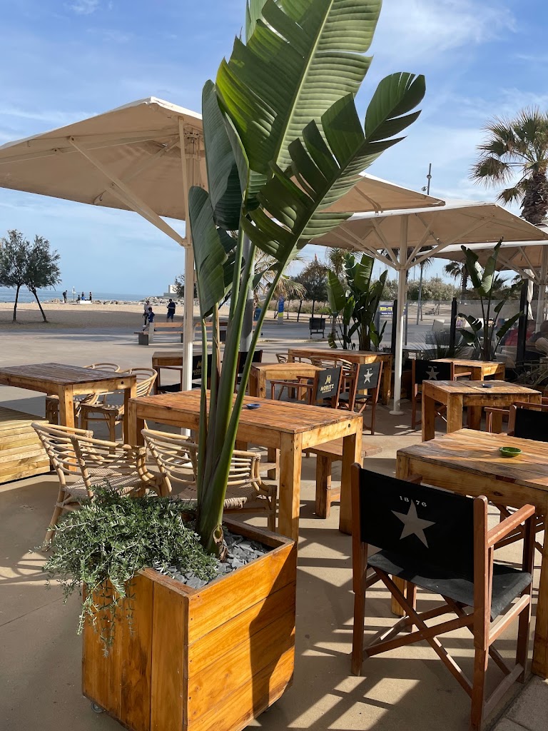 SEA YOU Beach - Surf & Food