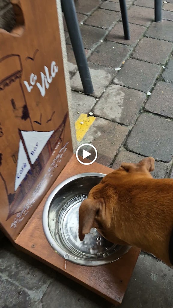 LA VILA CAFE — Mas recientes
