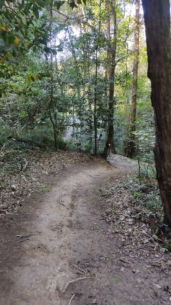 Circuito XC Barakaldo