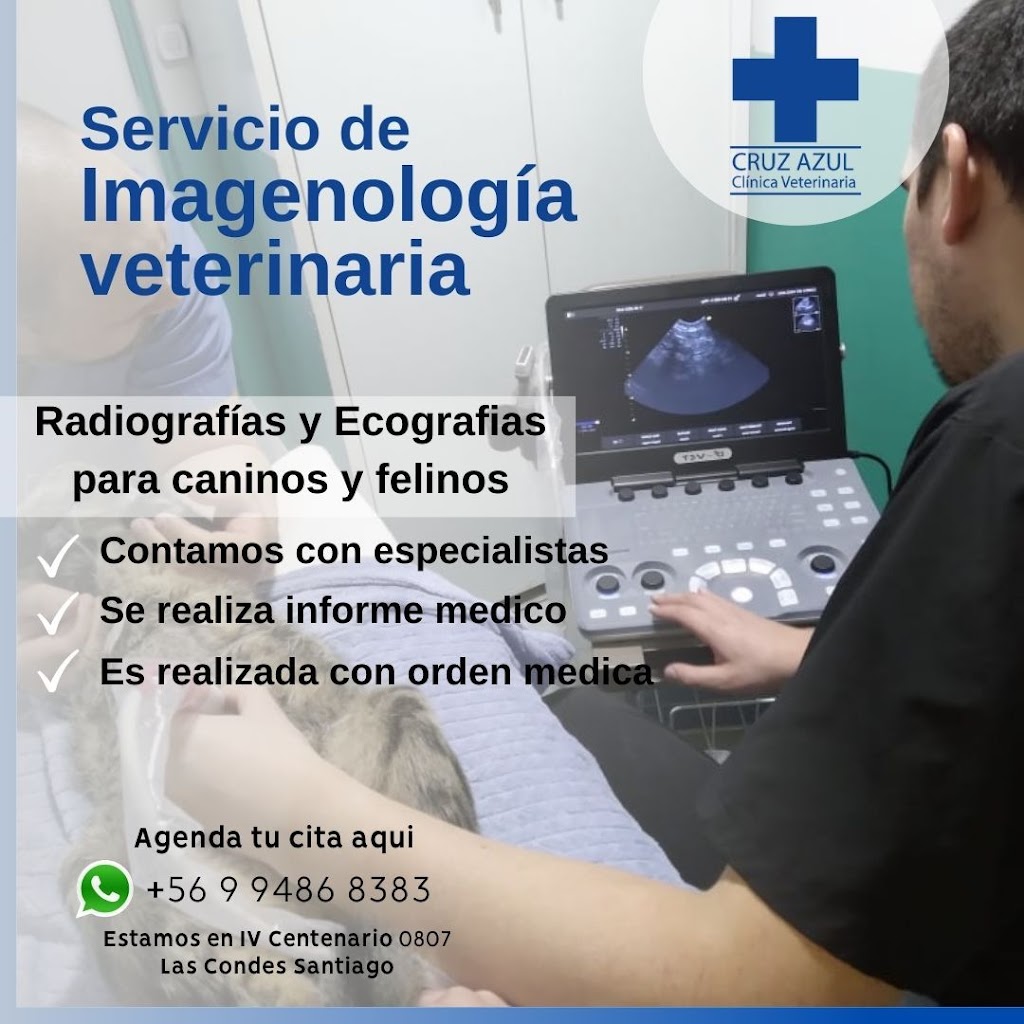 Más recientes