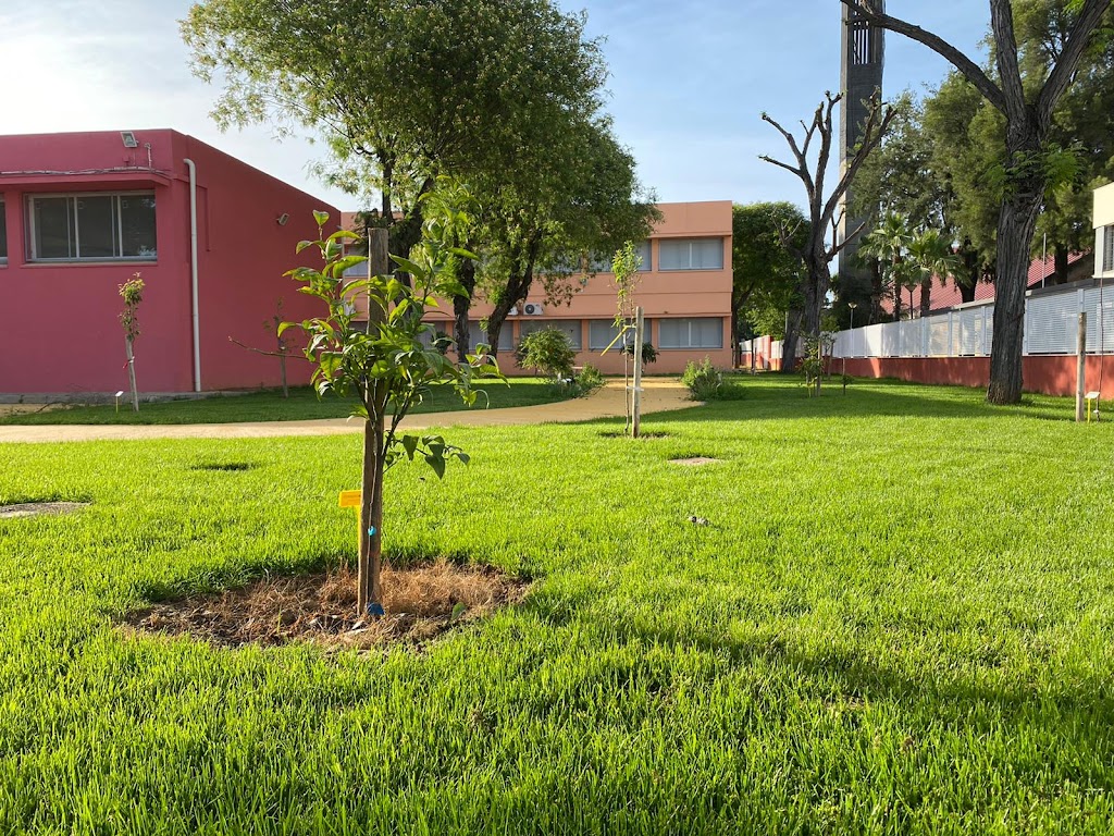 CEIP La Paz