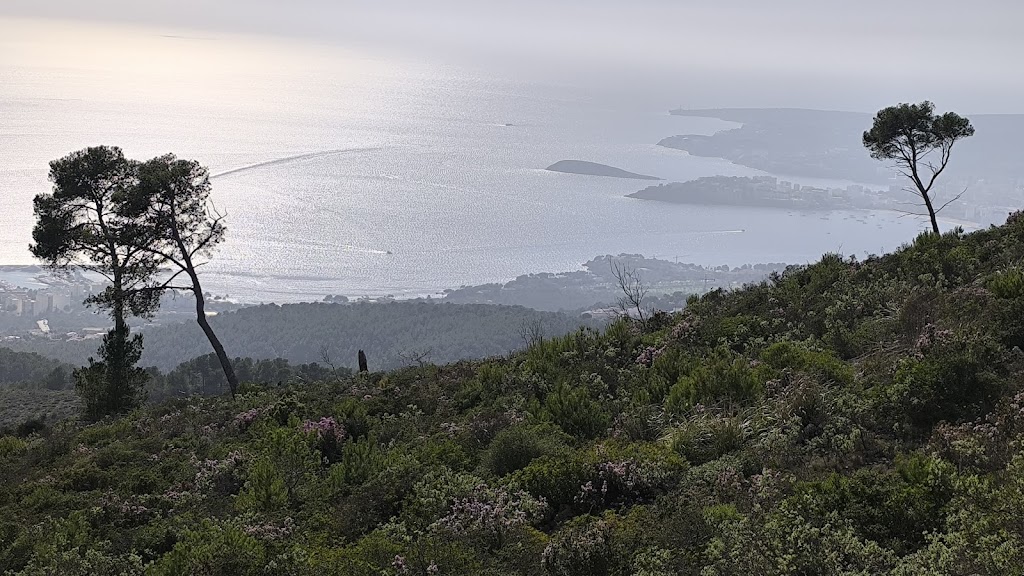 Puig Gros de Bendinat