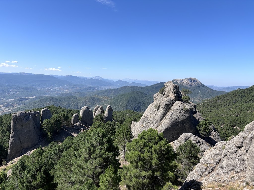 Los Picarazos