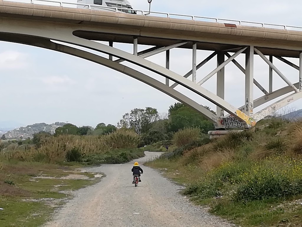 Humedales de Molins de Rey — Viaducto de Sant Vicenc