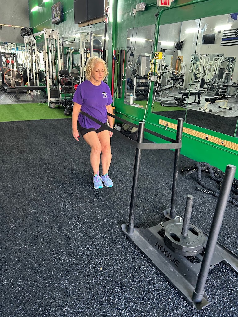  Clean Results House of Fitness