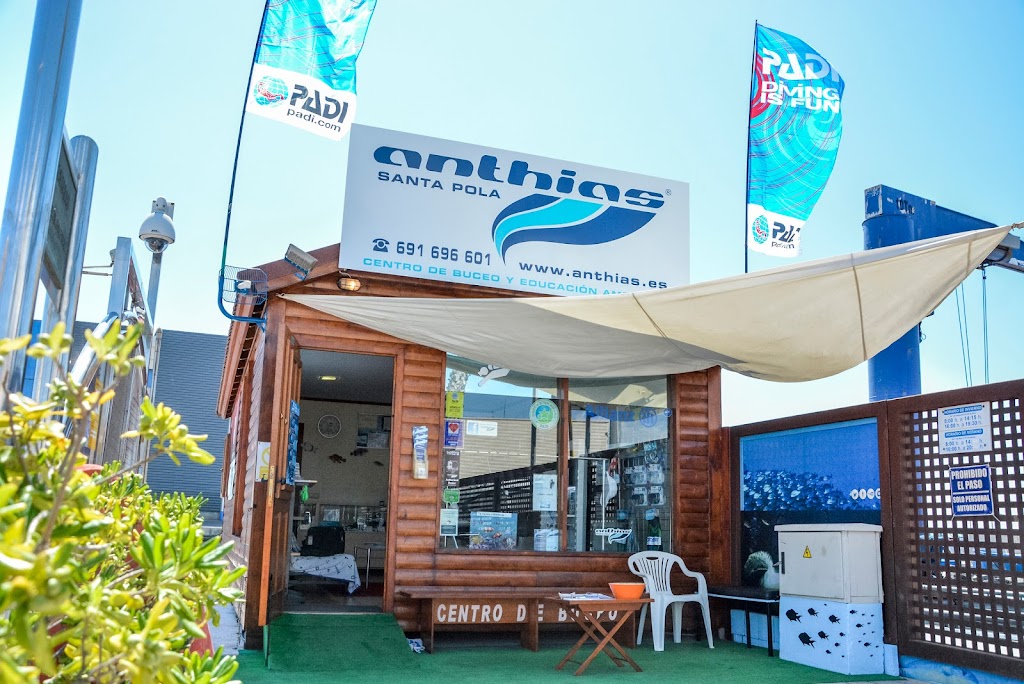Anthias Santa Pola