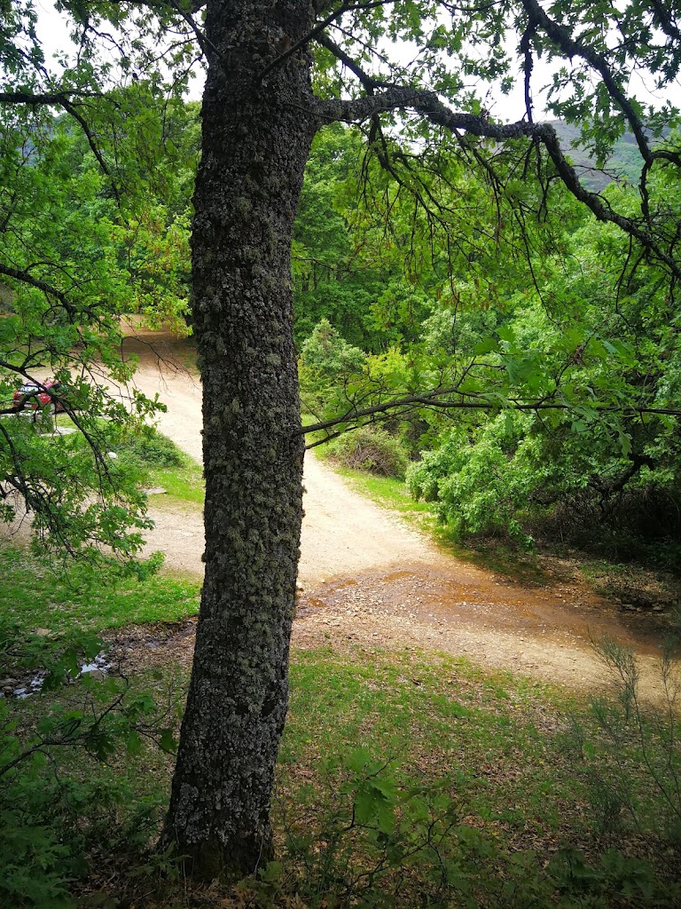 Puerto Del Robledillo