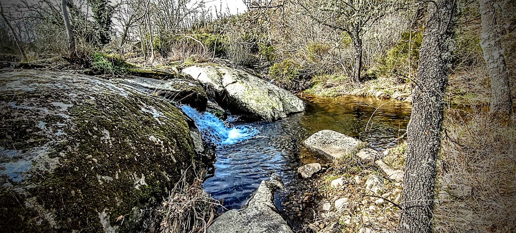 Sendero Micologico (El Cabaco-Nava de Francia)