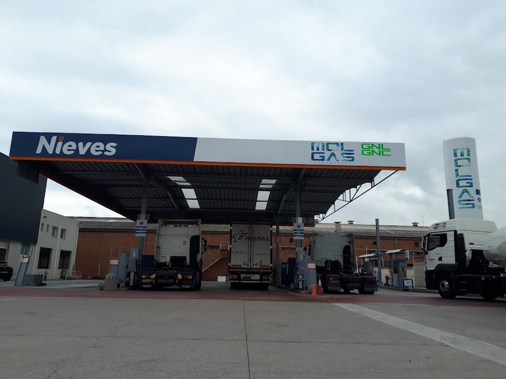 MOLGAS GNL/GNC Zona Franca