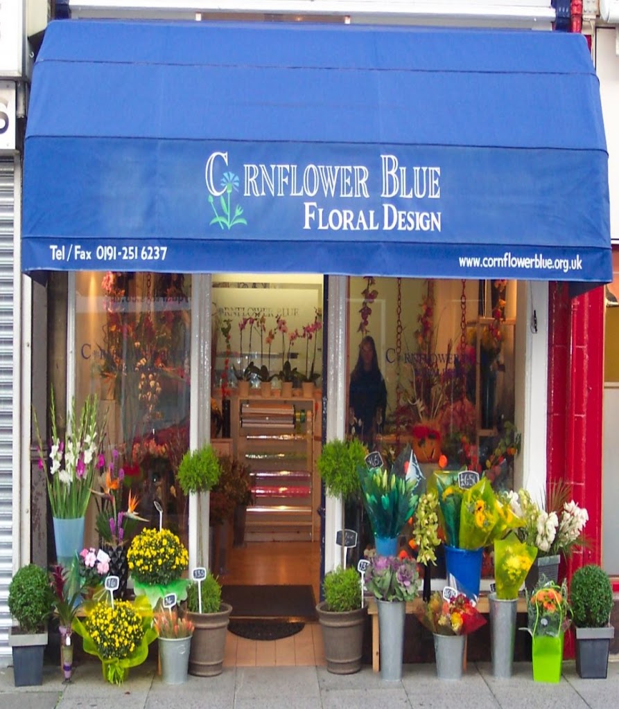 Cornflower Blue Florist