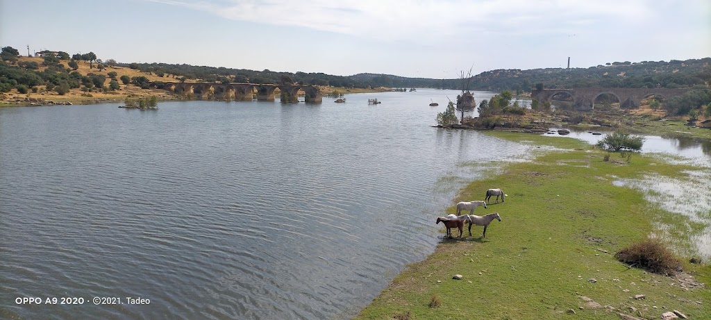Inicio Ruta Puente de la Ayuda / Ajuda