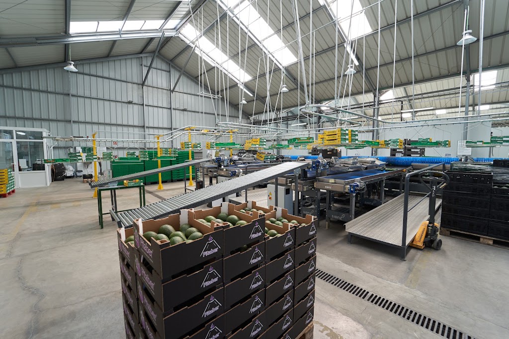 Agro Rincon Tenerife