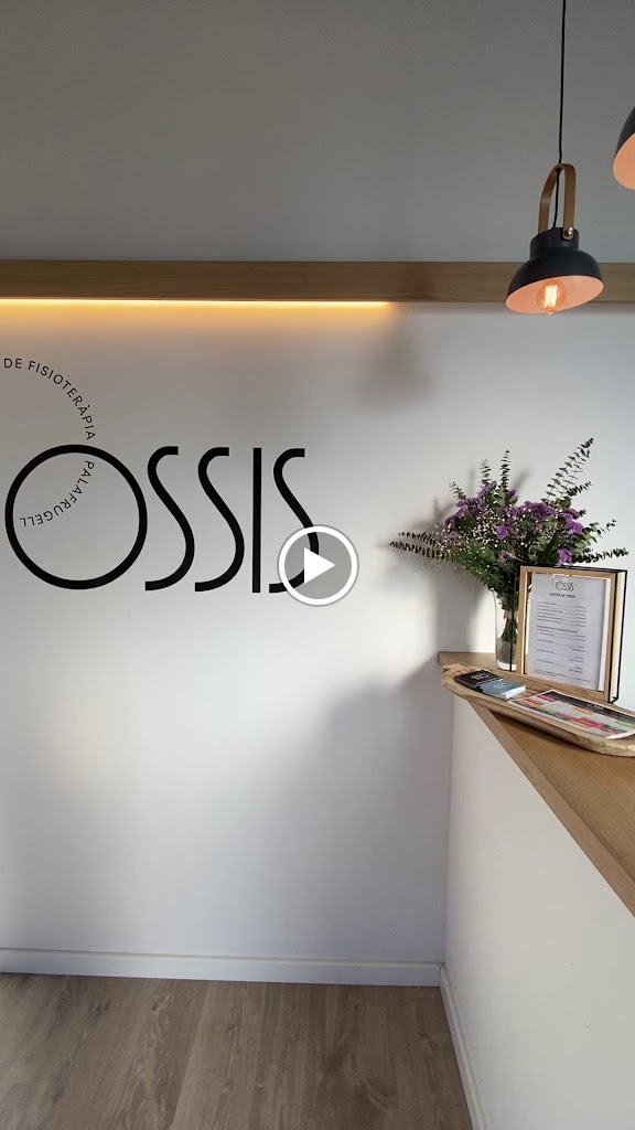 Fisioterapia Ossis — Del propietario
