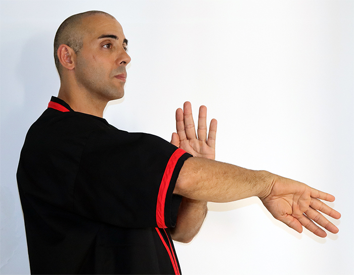 CWTO - Wing Tsun Mallorca