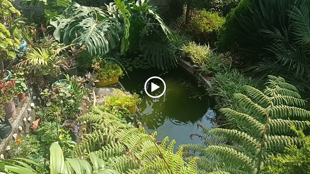 Videos