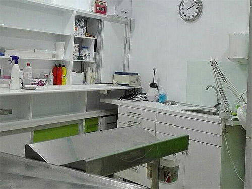 Centro Veterinario Velez — Del propietario