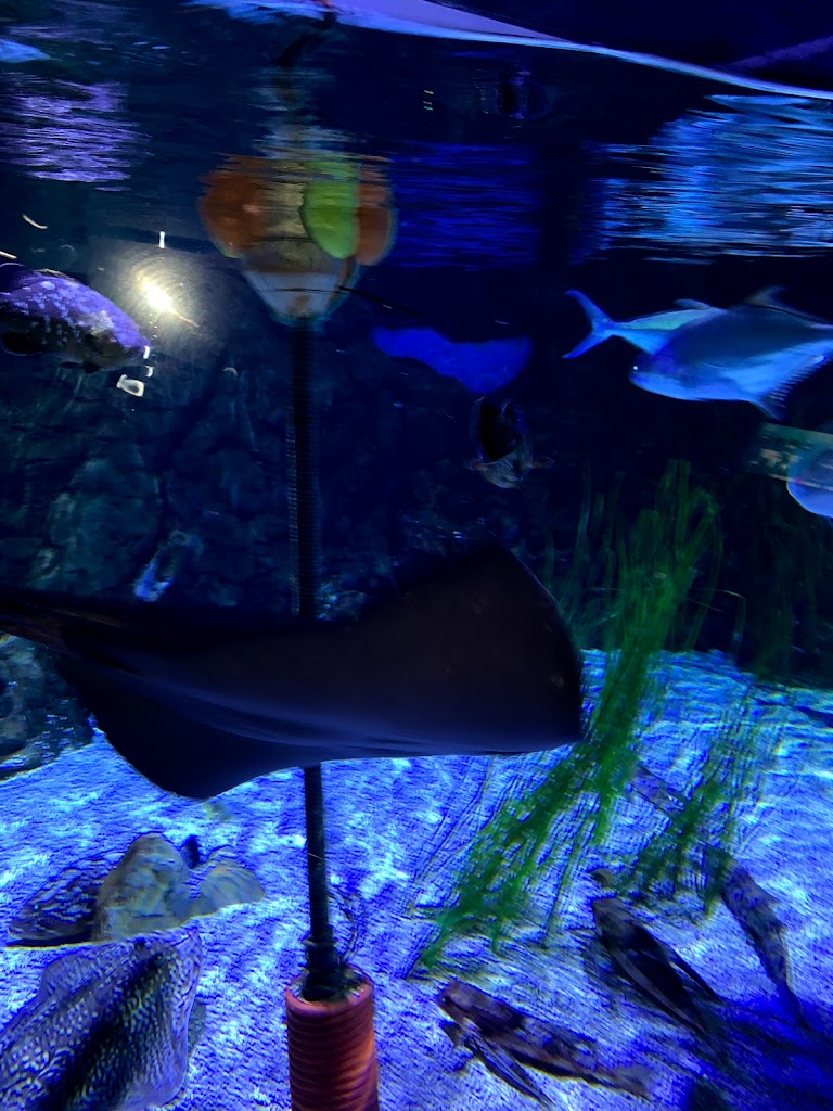 Lavados de coches Y Servicios ROX