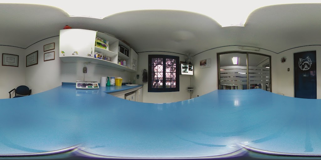 Street View y 360°