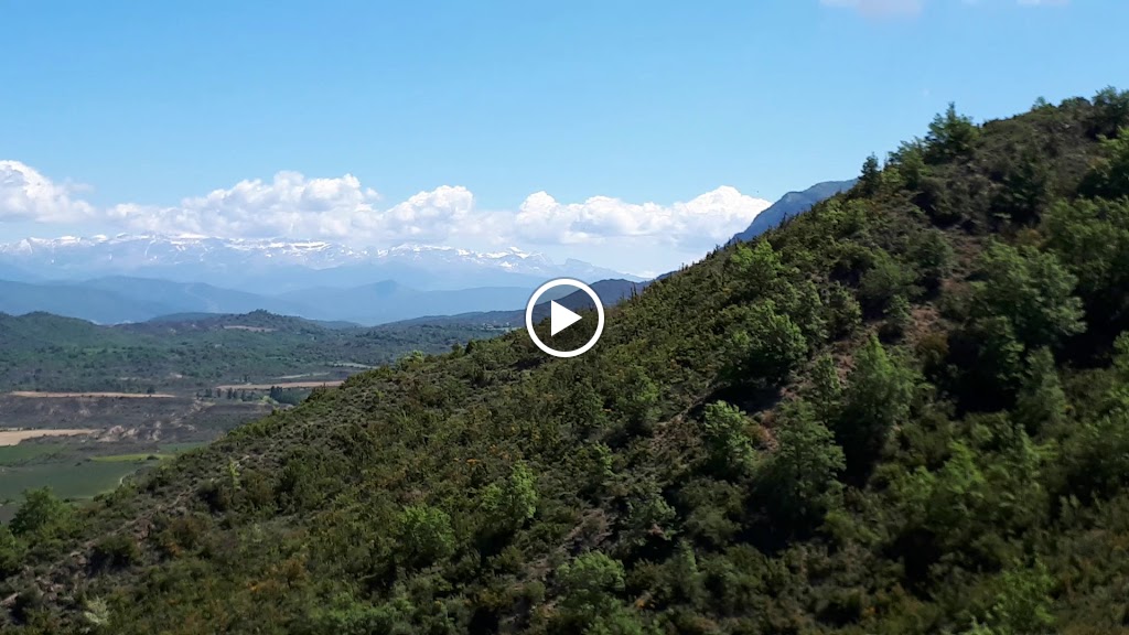 Cafeteria El Corte Ingles — Videos