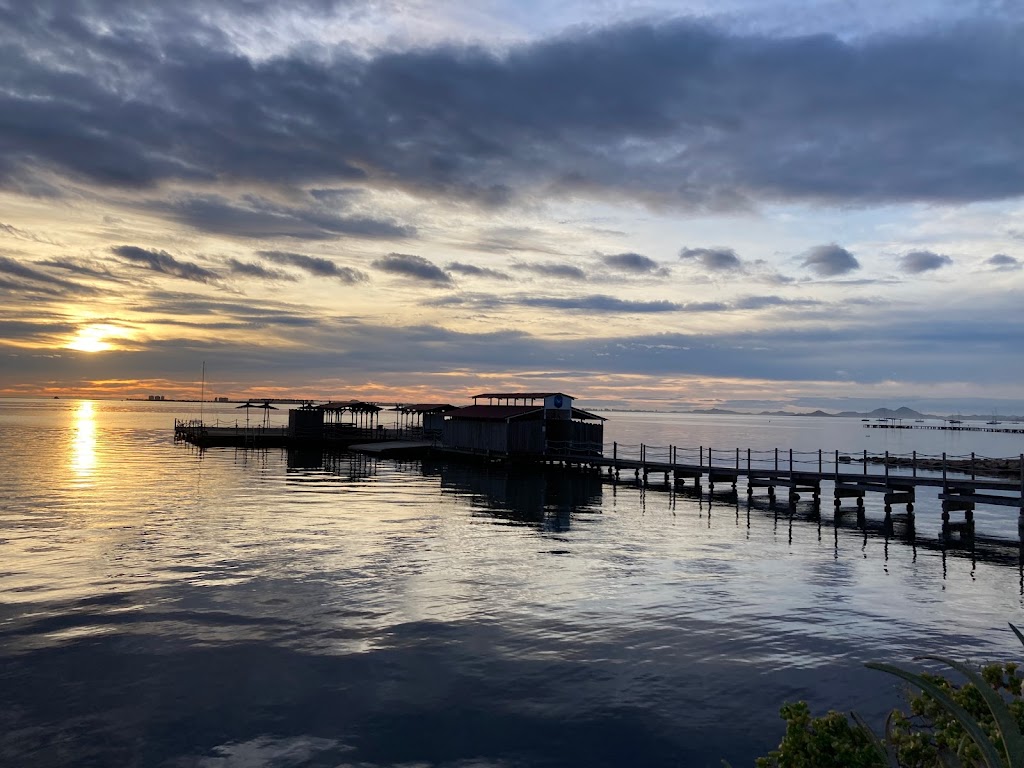 CDSCM Fernandez Tudela