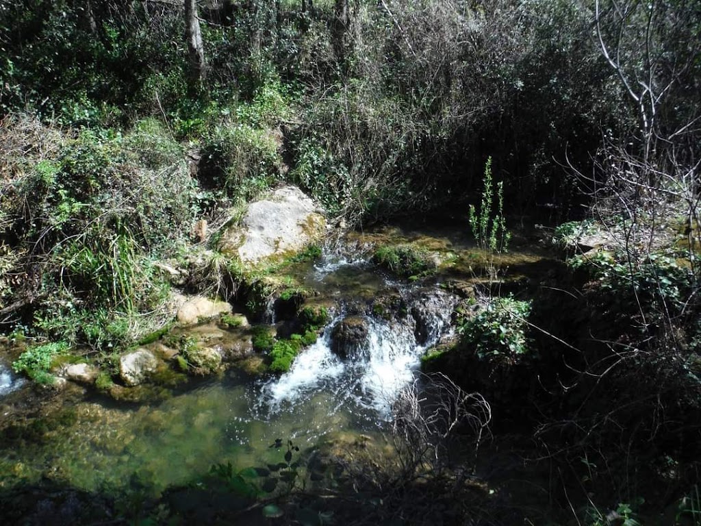 Garganta del arroyo de la ventilla