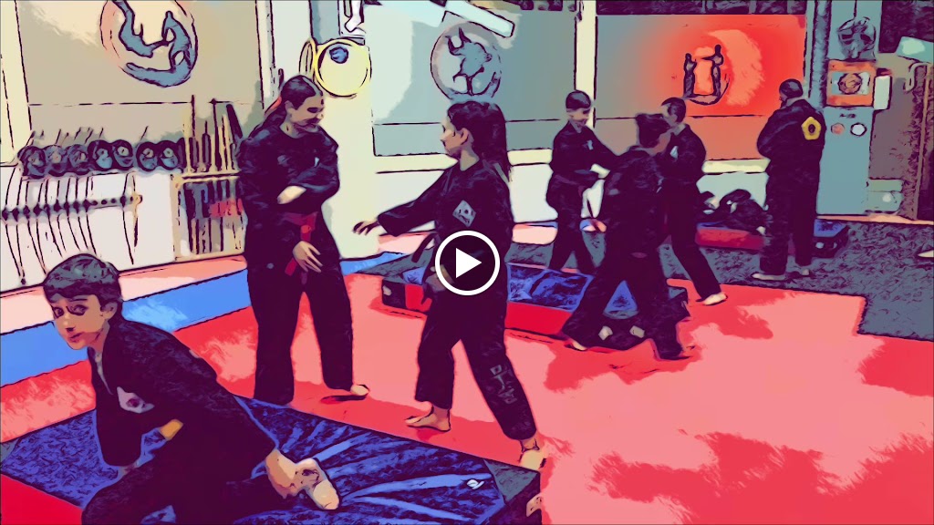 El Club Esportiu Hapkido MuSul St. Boi — Comunidad