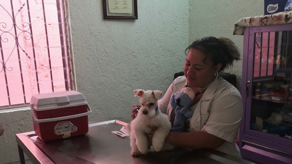 Dra. Shirley Fajardo Centro Integral Veterinario — Del propietario