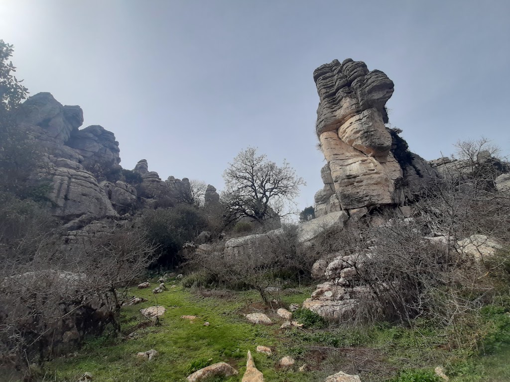 Parque Natural Torcal de Antequera — Mas recientes
