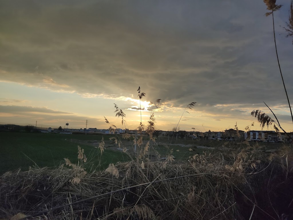 Fundacion Andaluza Accesibilidad Y Personas Sordas