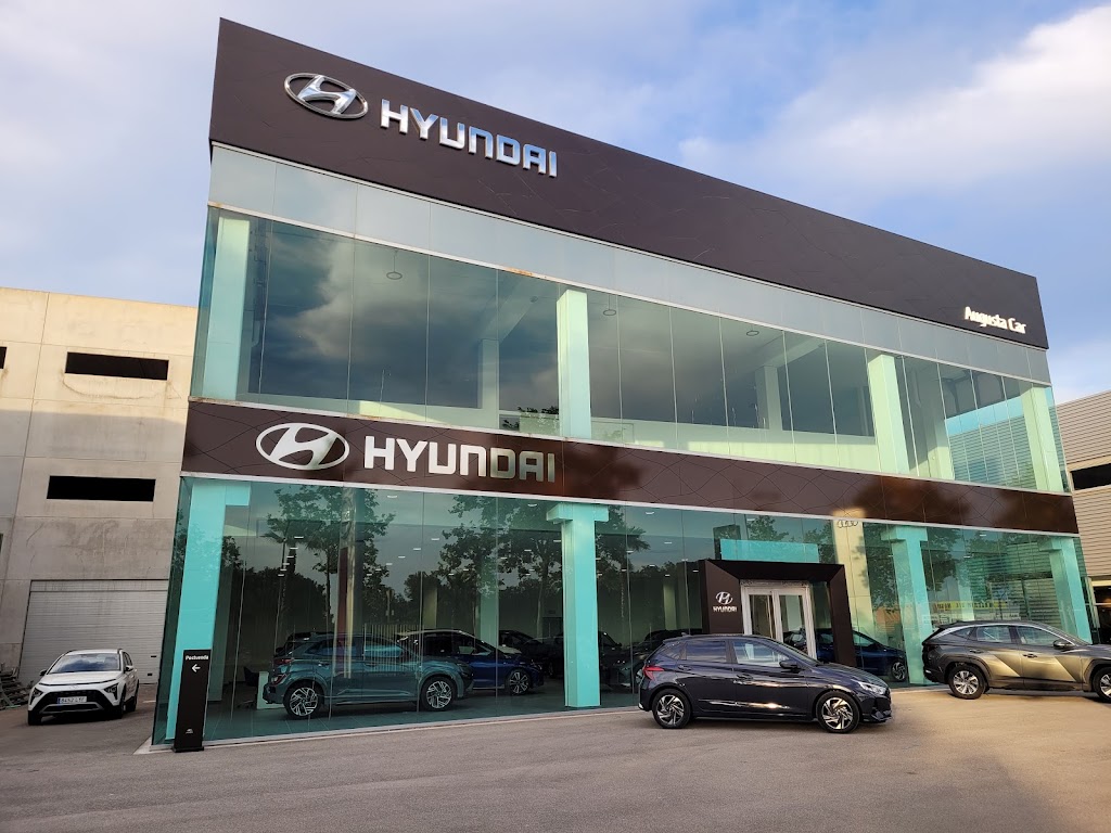 Hyundai Augusta Car Vilanova i la Geltru