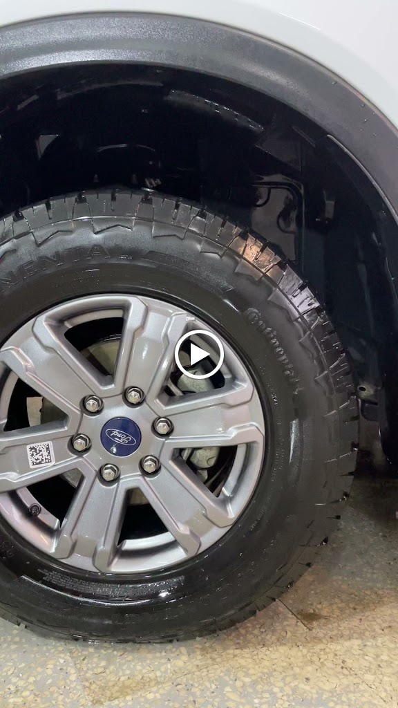 MS MOTOR — Videos