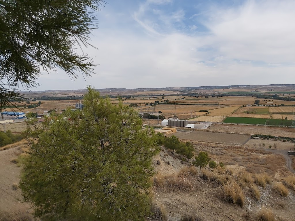 Parque San Bartolome