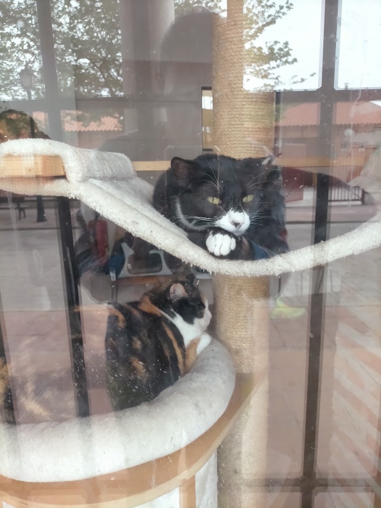 Centro Veterinario Cedillo — Del propietario