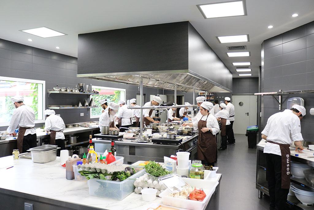 Gasma CEU - Universidad de Gastronomia