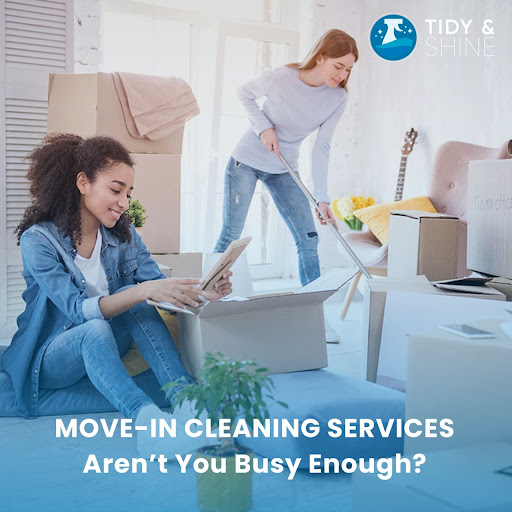 Move In Cleaning