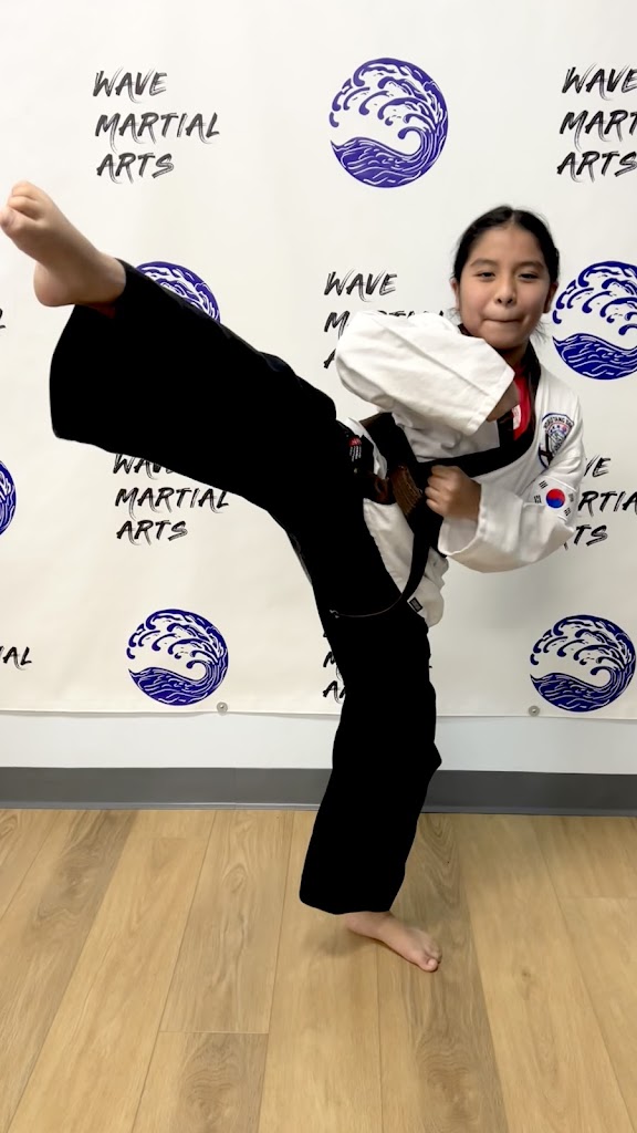  Wave Martial Arts