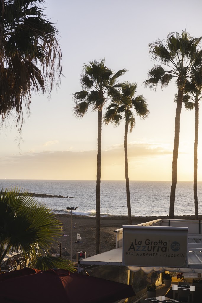 Boca Chica Bar Tenerife — Del propietario