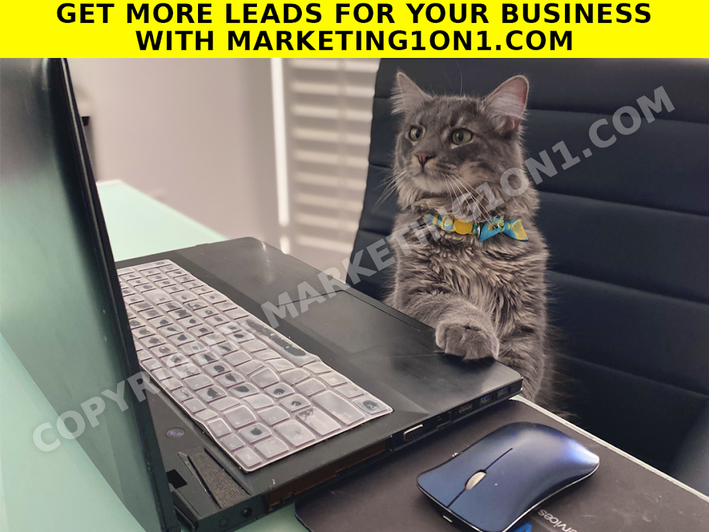 Digital Marketing 1On1 Seo