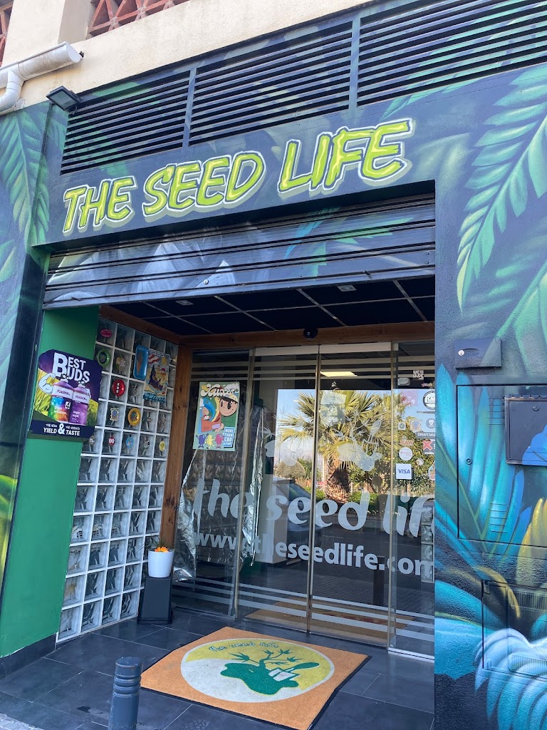 The Seed Life