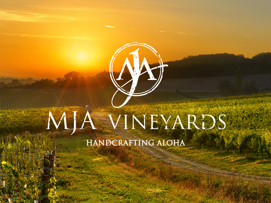 Mja Vineyards Westside Tasting Room Cellar