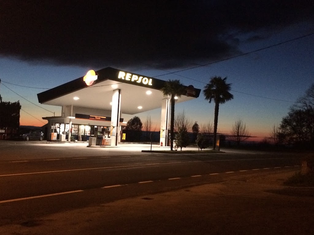 Gasolinera de Castro Caldelas — Del propietario
